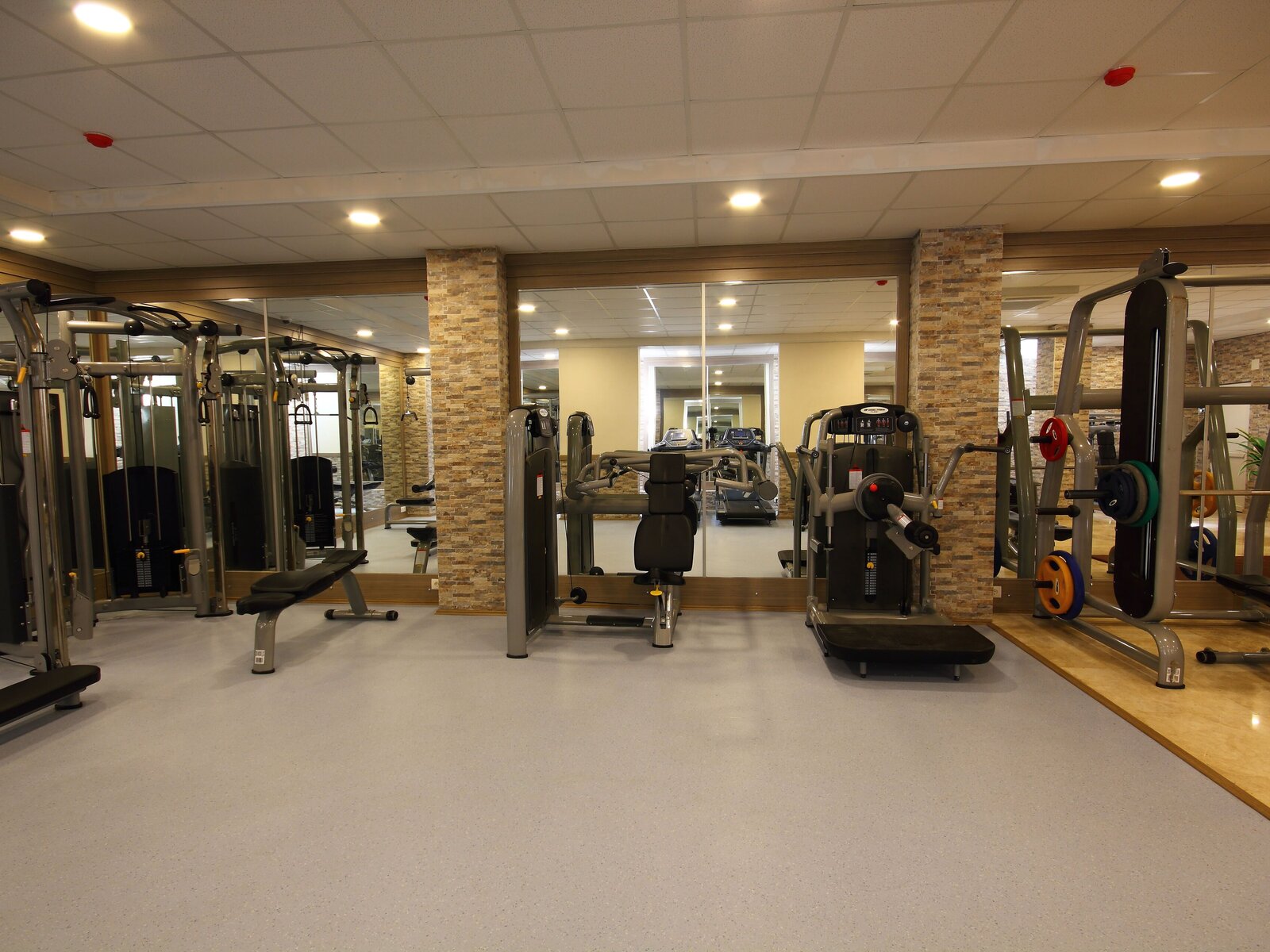 Sport