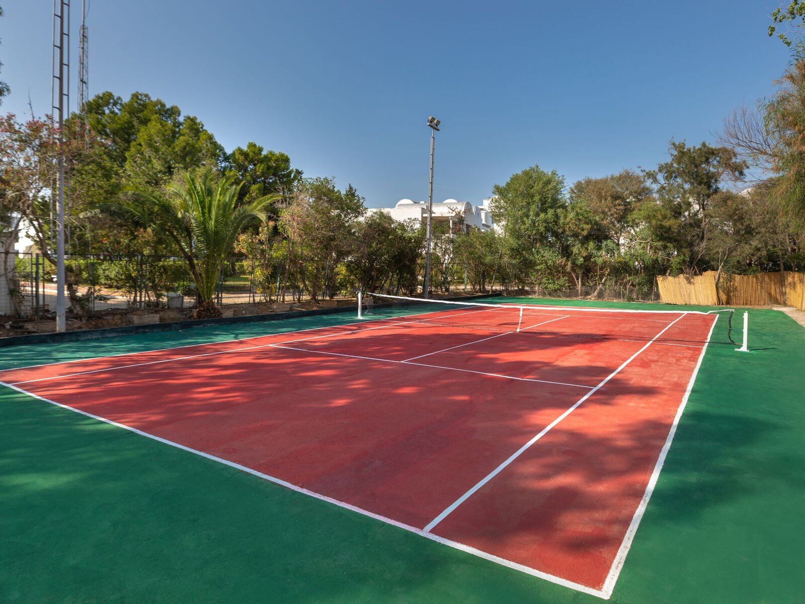 Sport