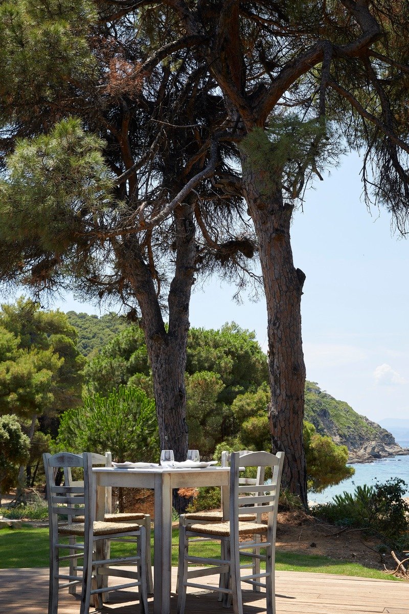 Nest Greek Fish Restaurant