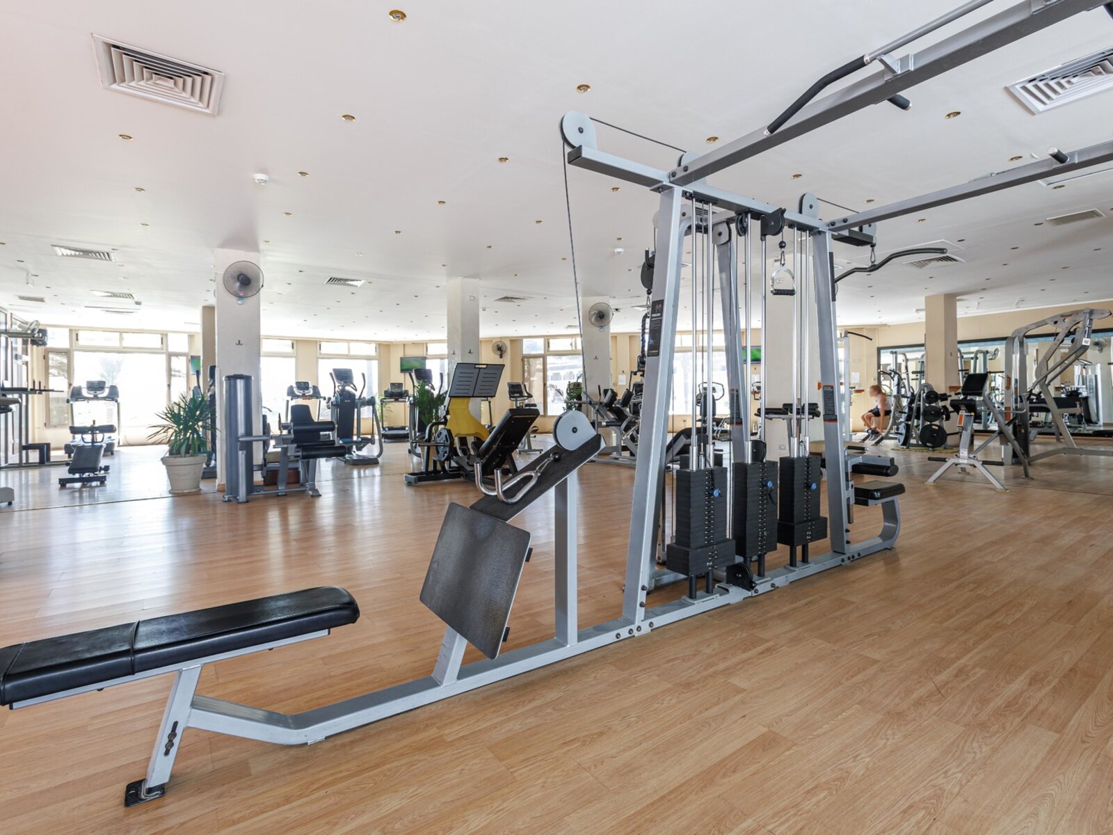 Sport