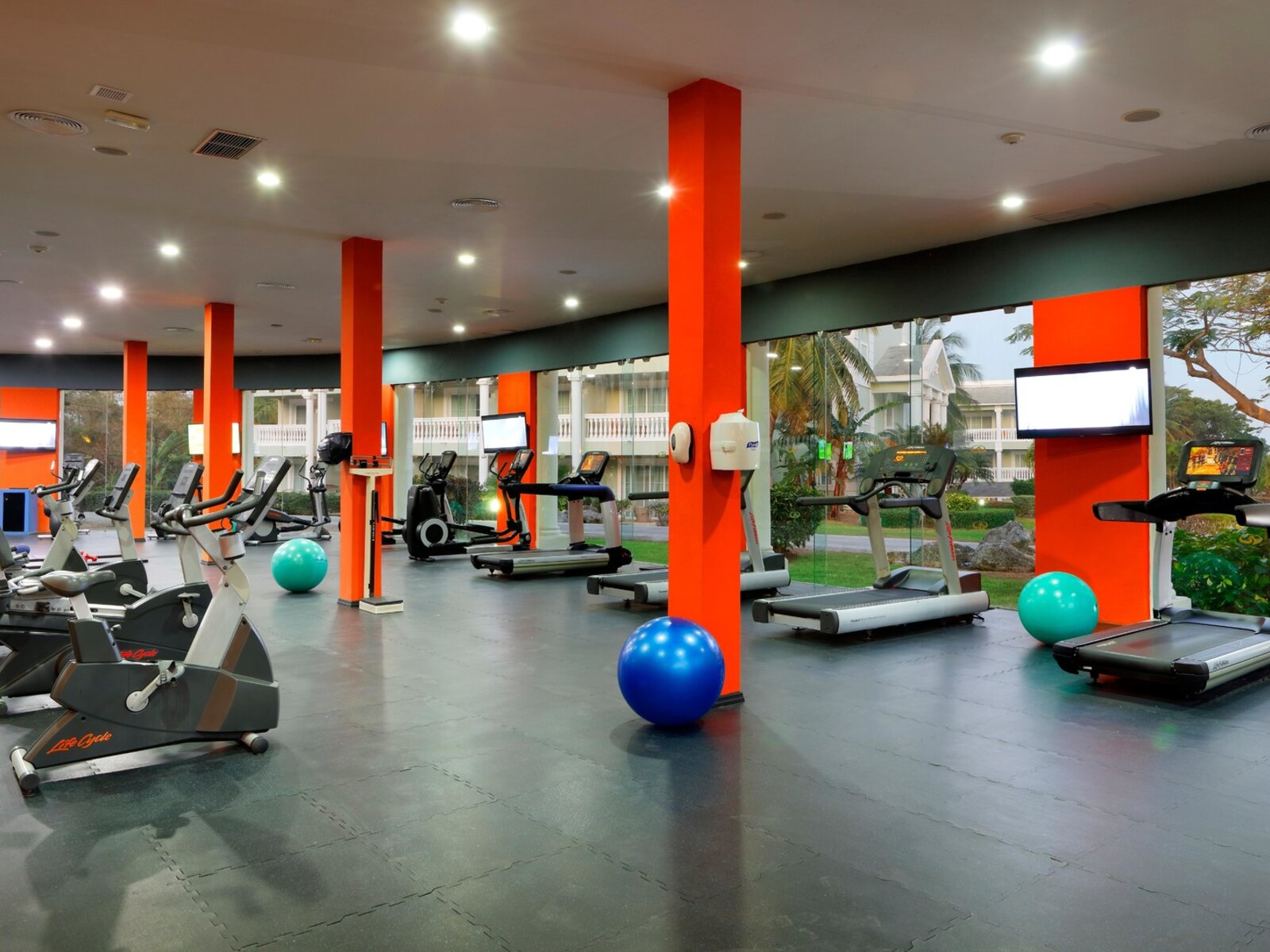 Sport