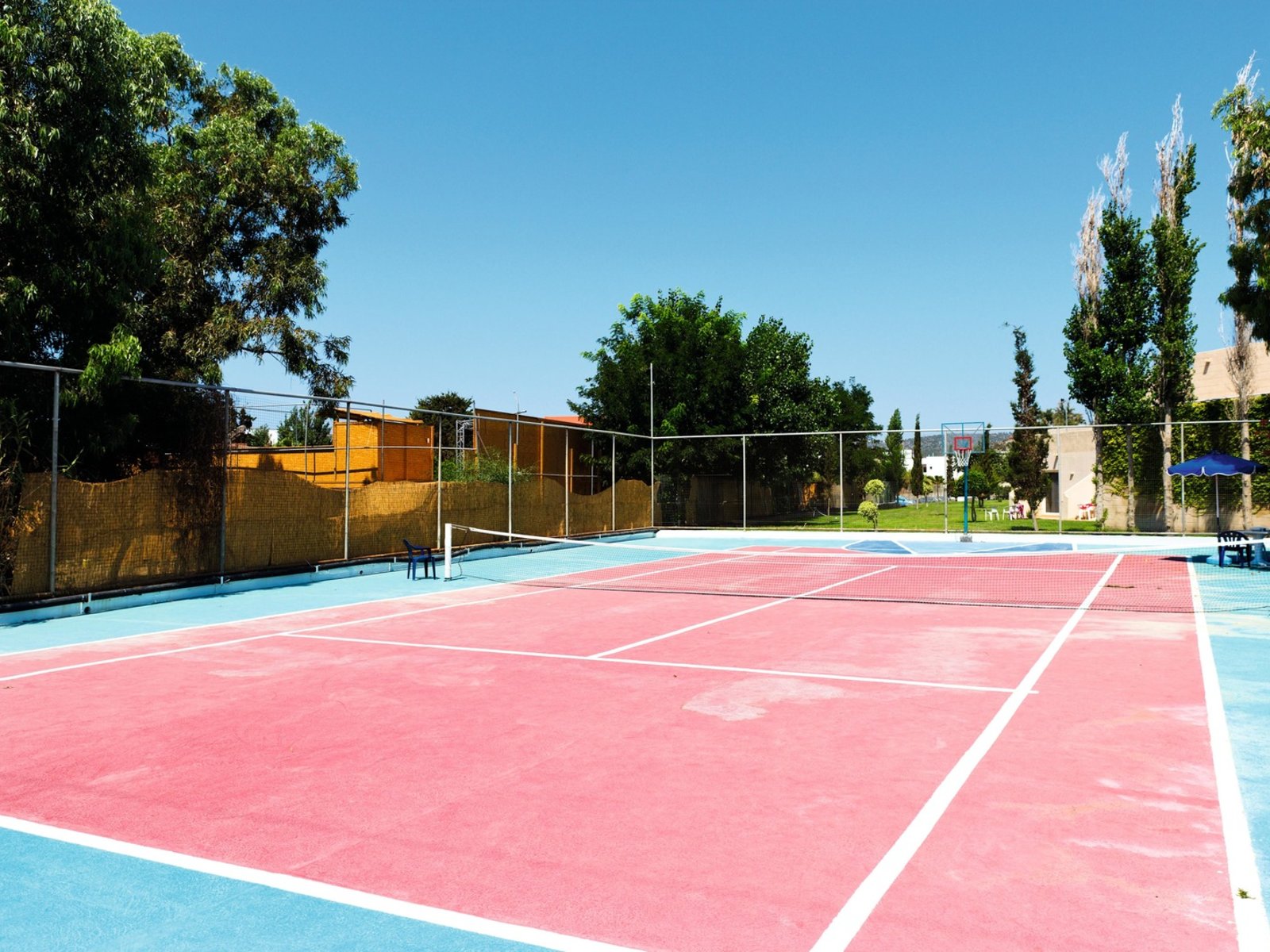 Sport