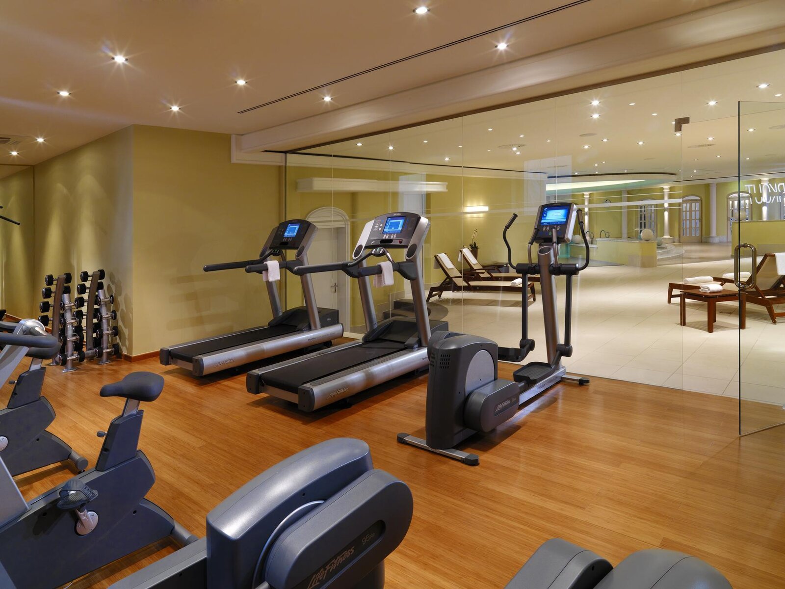Sport