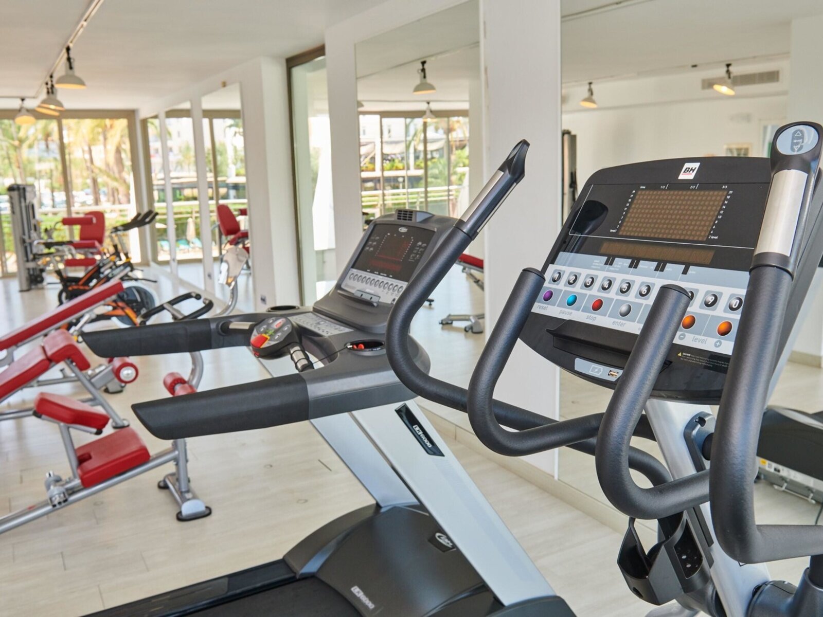 Sport