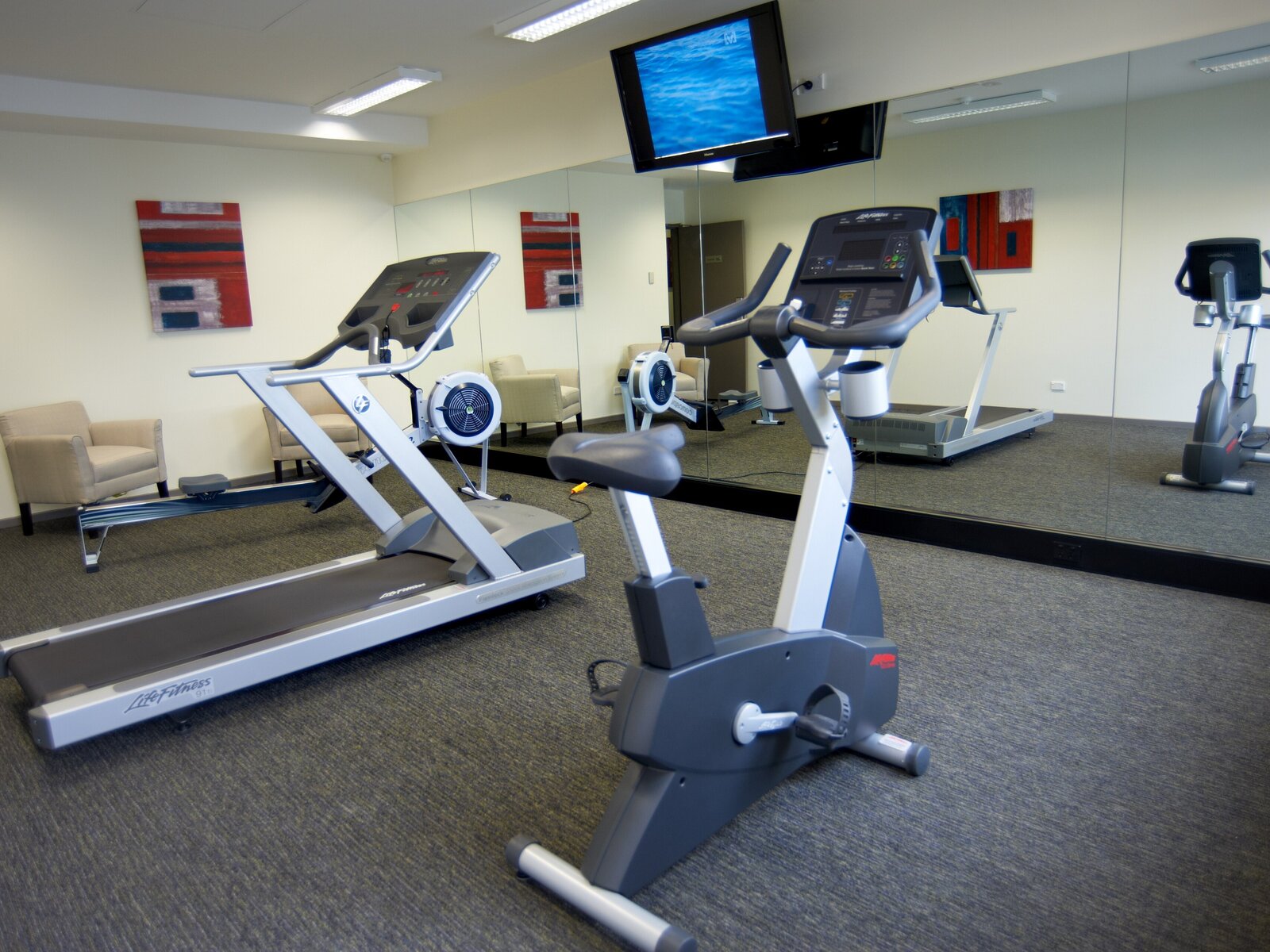 Sport