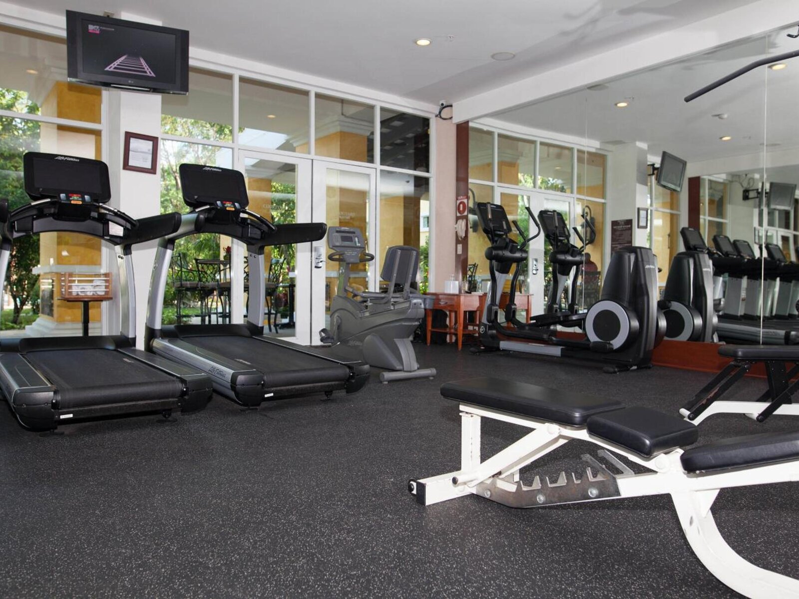 Sport