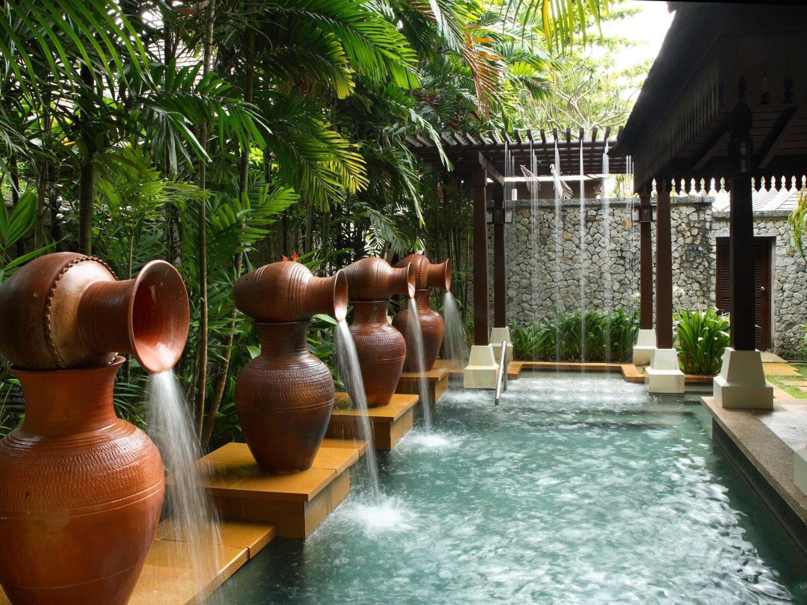 Wellness