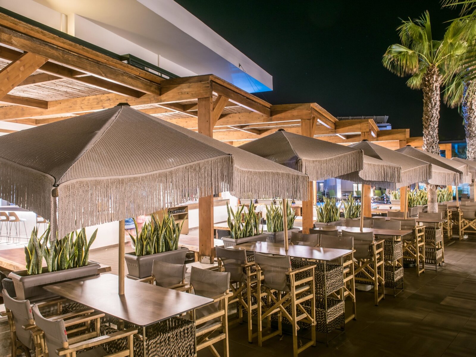 Apollon Bar