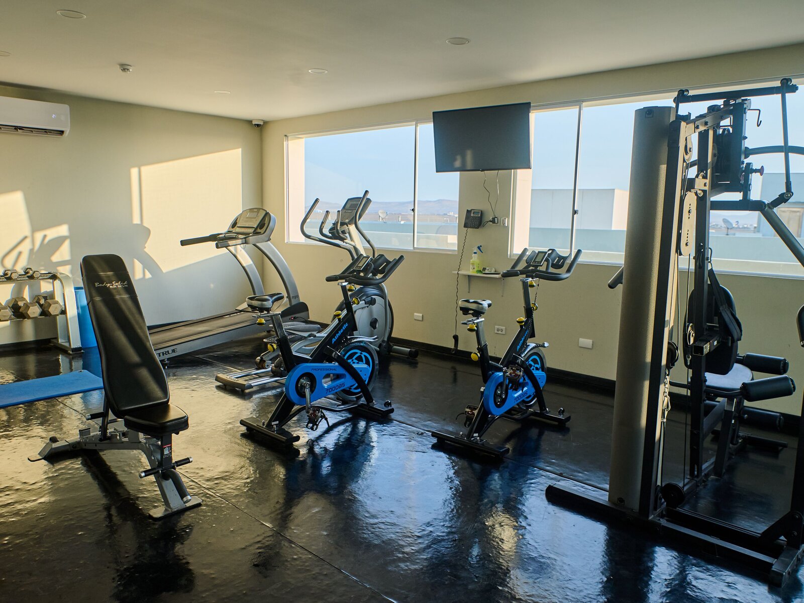 Sport