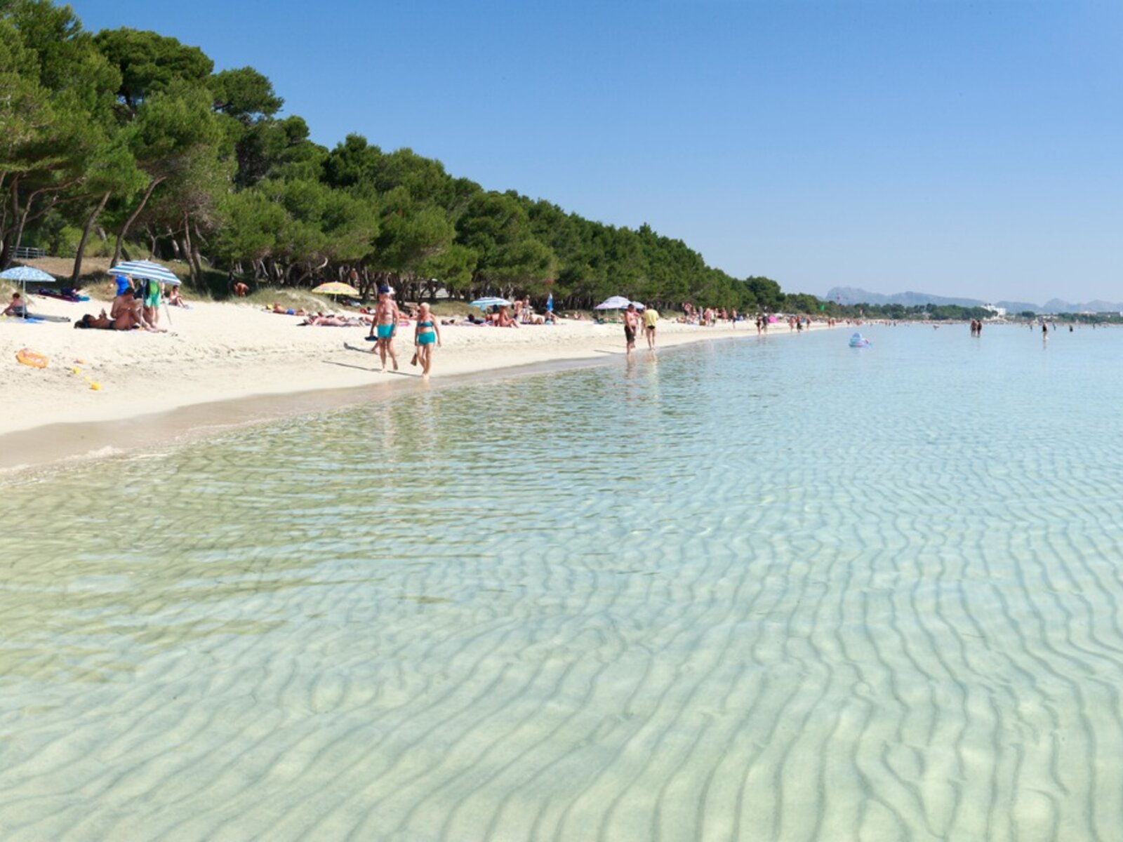 Playa de Alcudia/ Muro