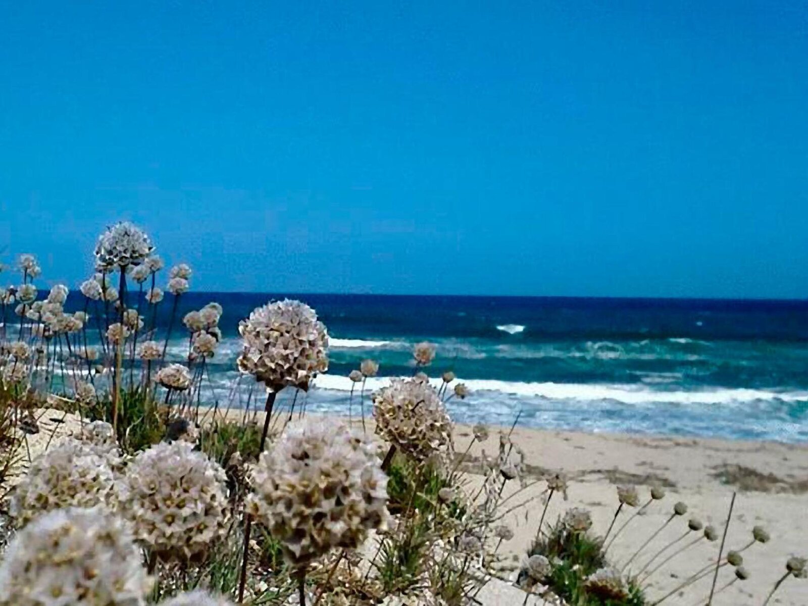 Strand