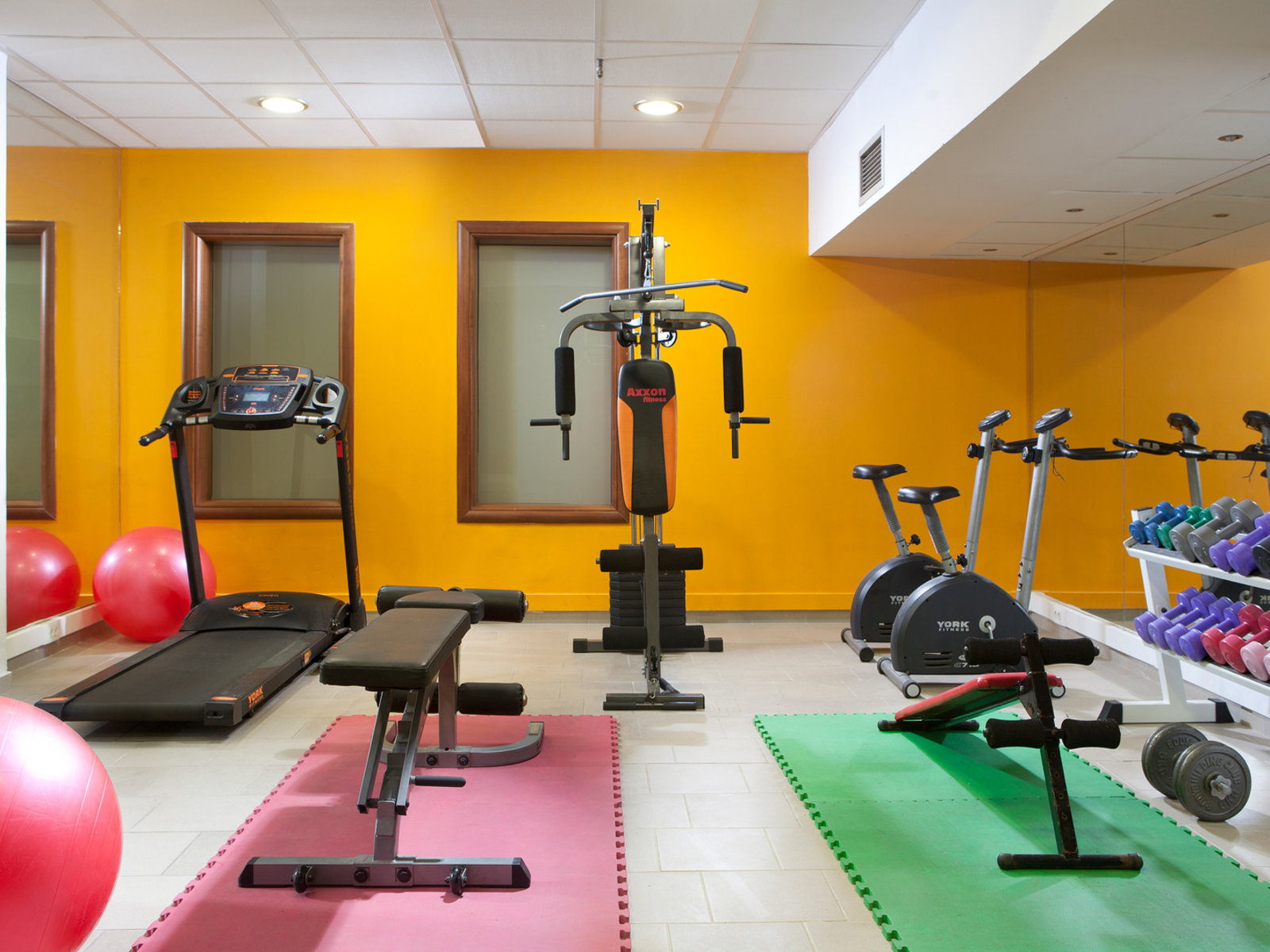 Sport