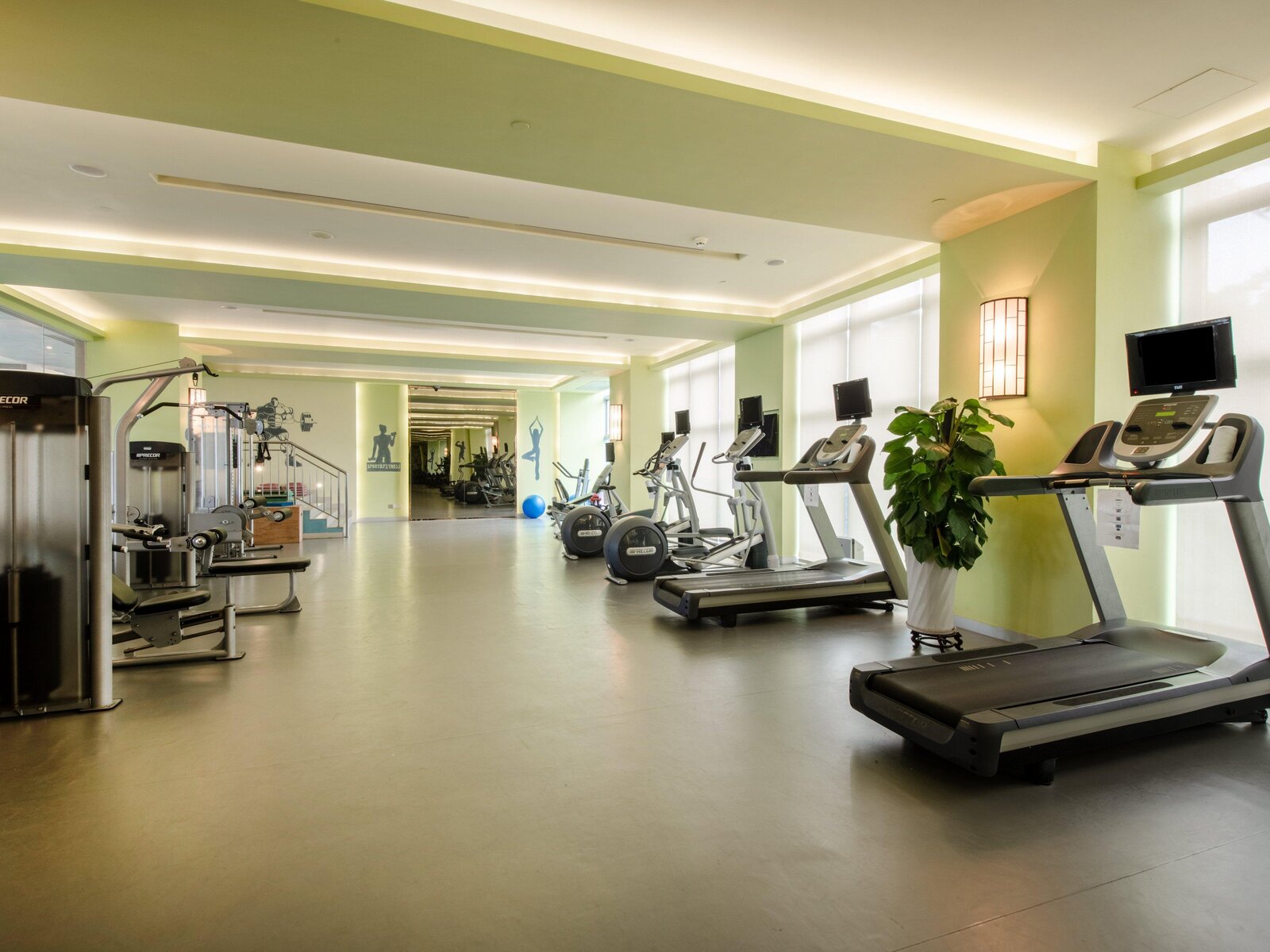 Sport
