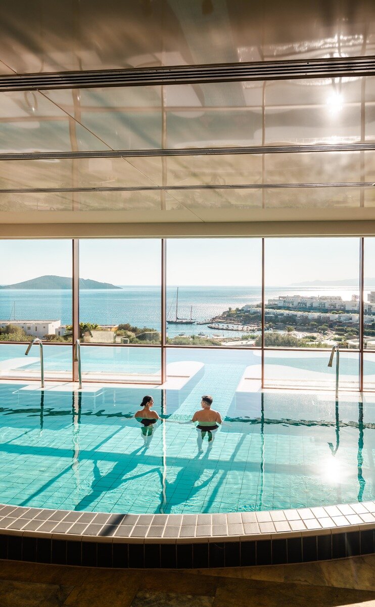 Wellness