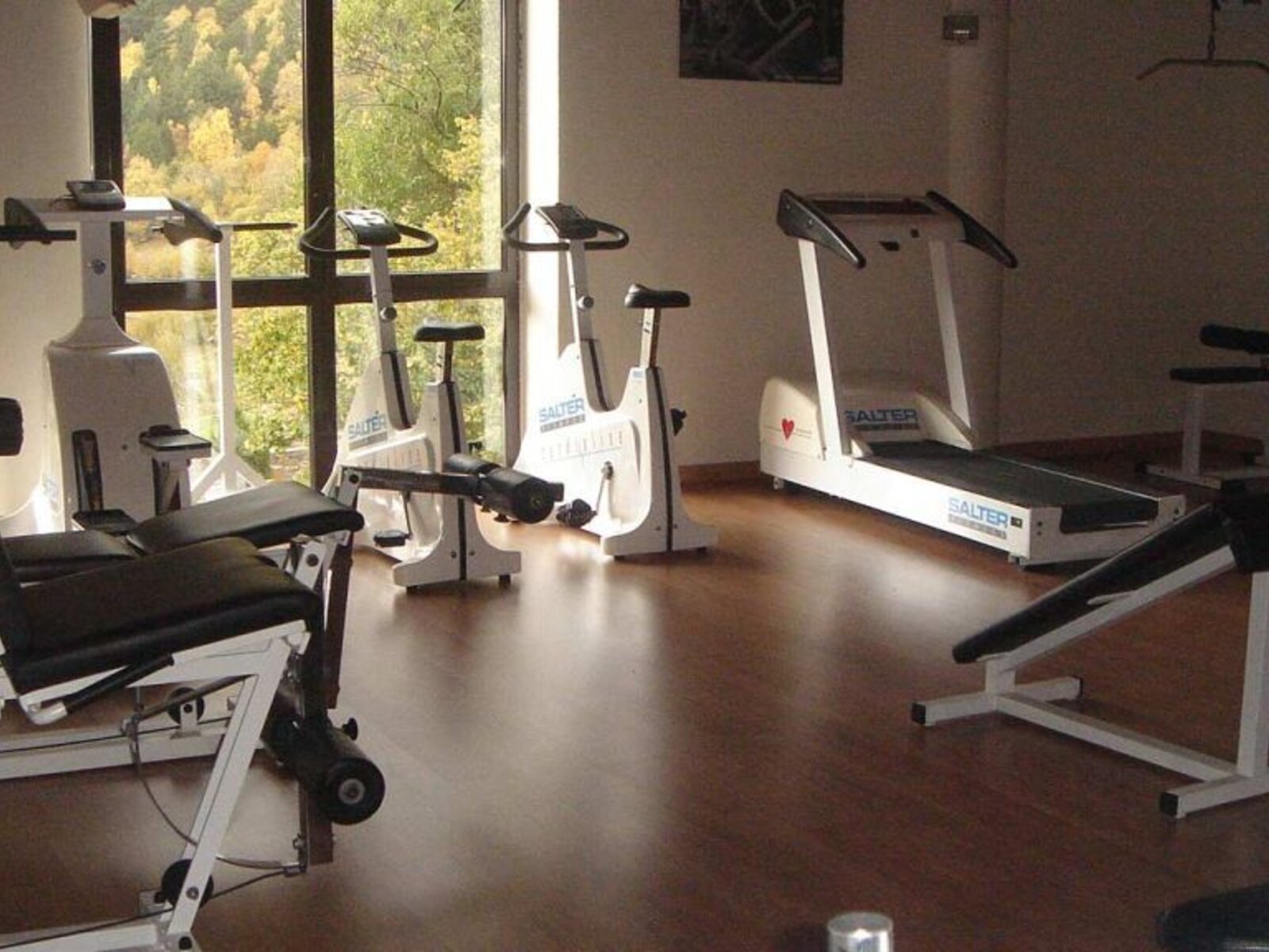 Sport
