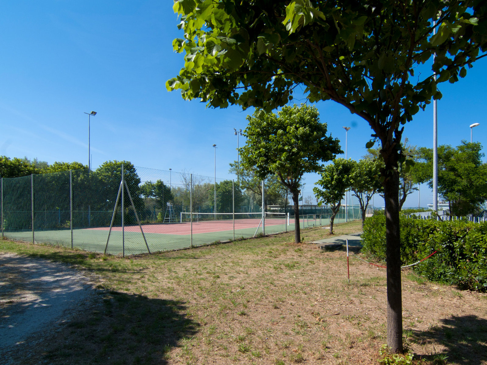 Sport