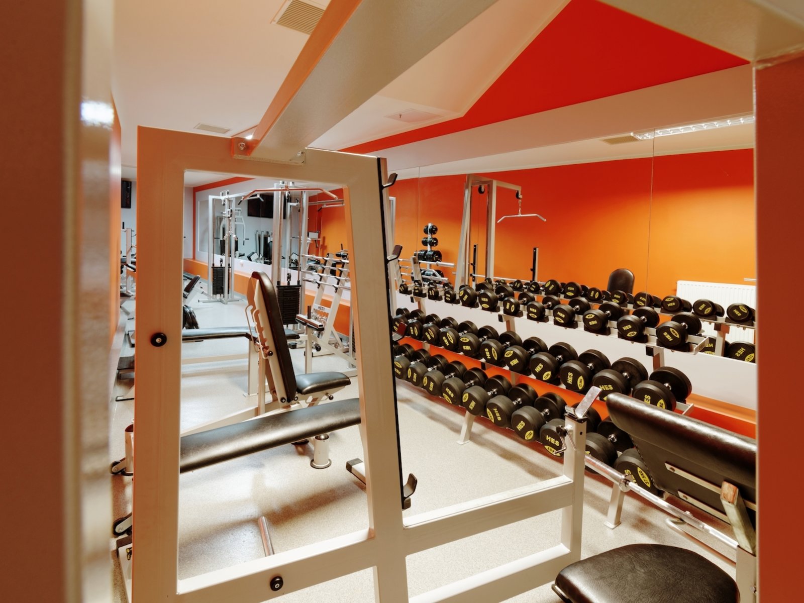 Sport