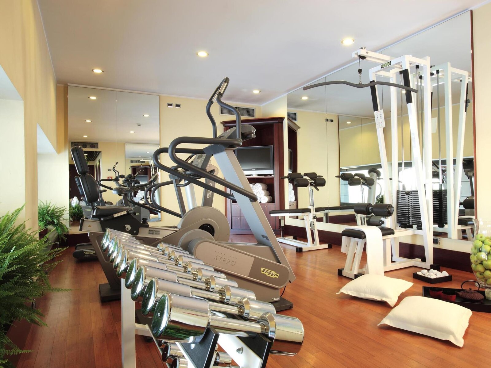 Sport