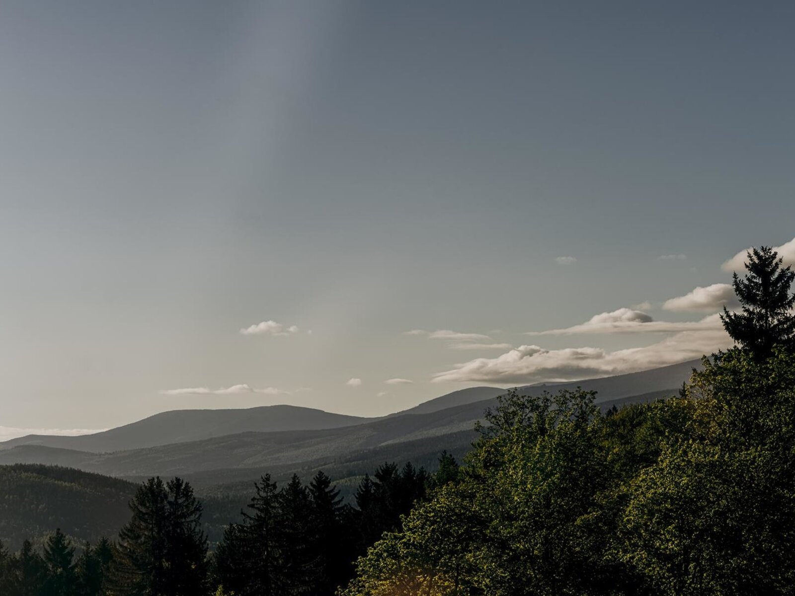 Landschaft