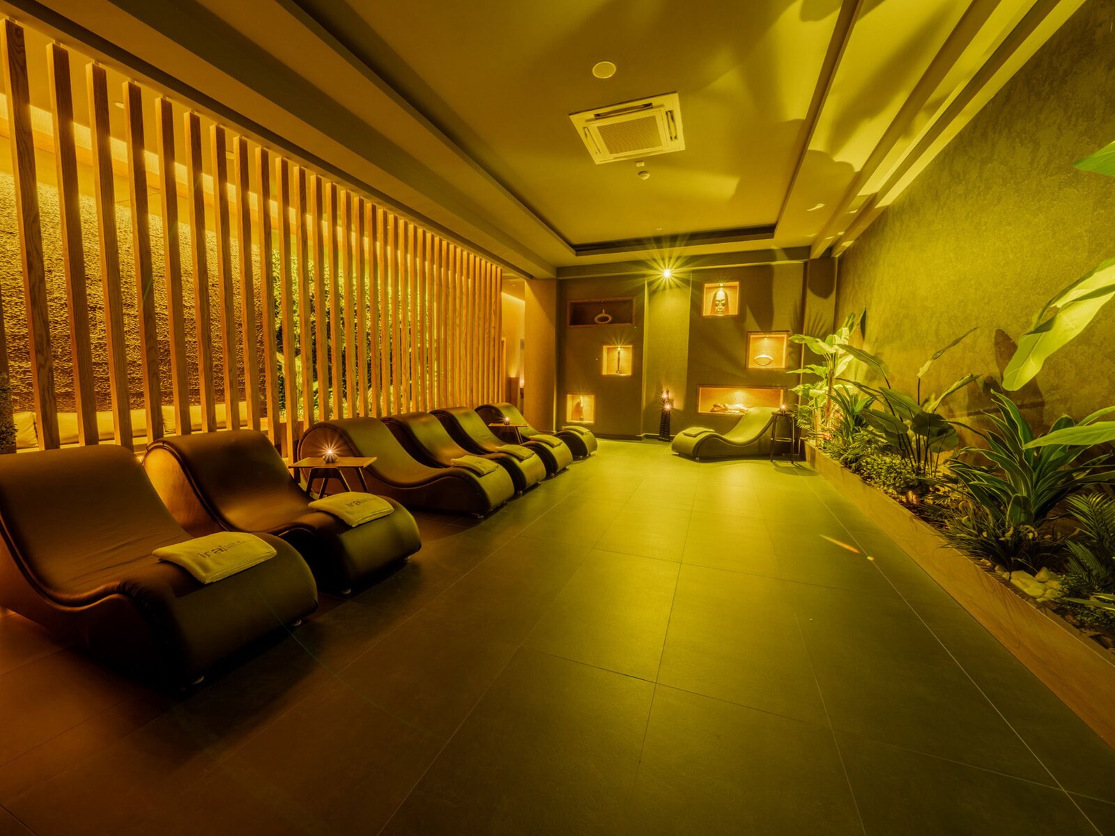 Wellness