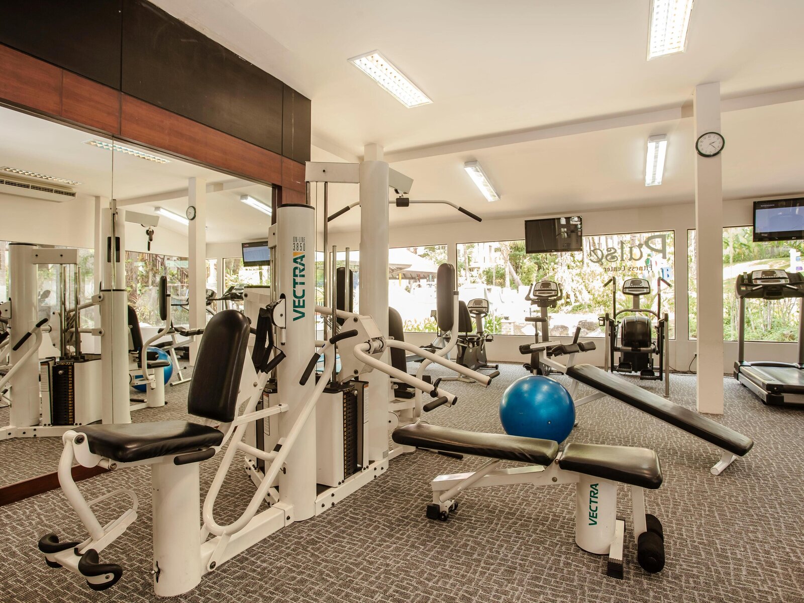 Sport