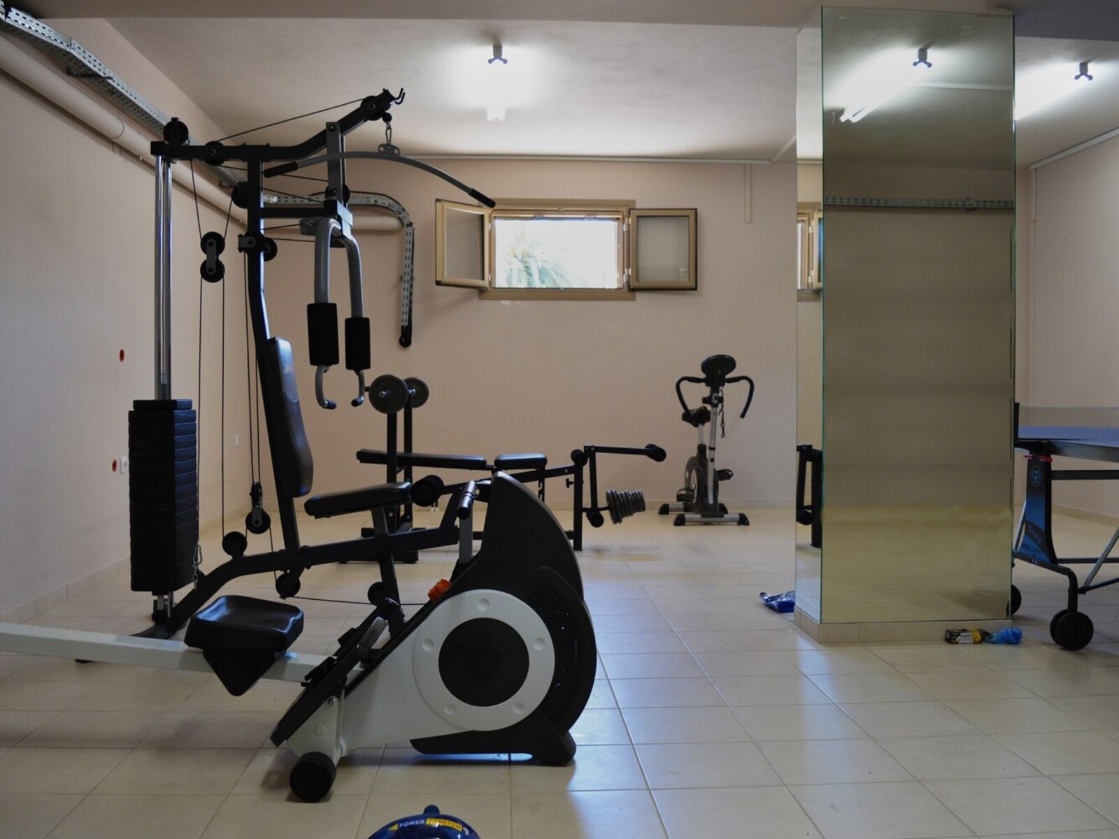 Sport