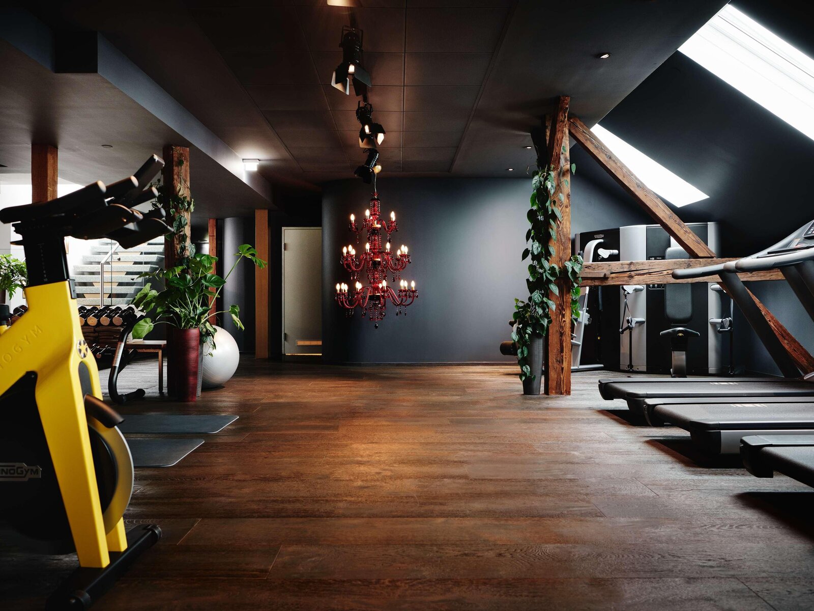 Sport