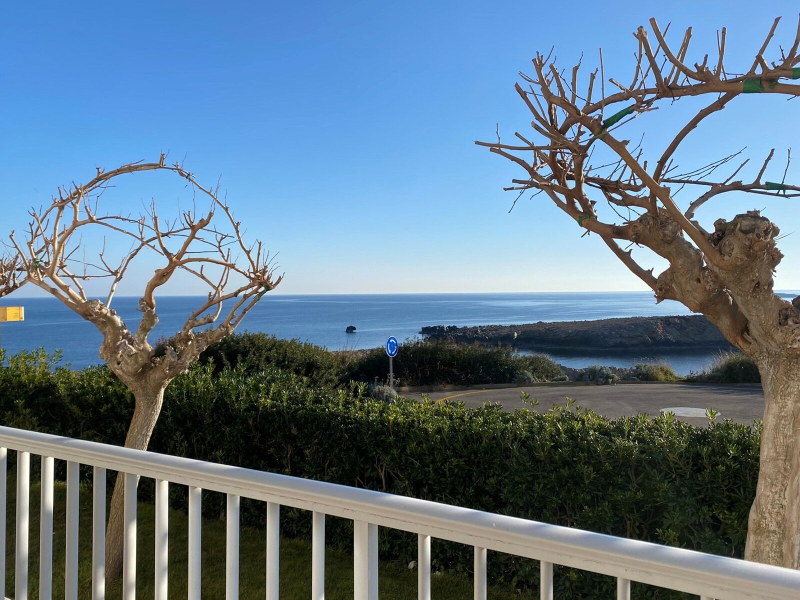 Apartment 1 bedroom Sea View