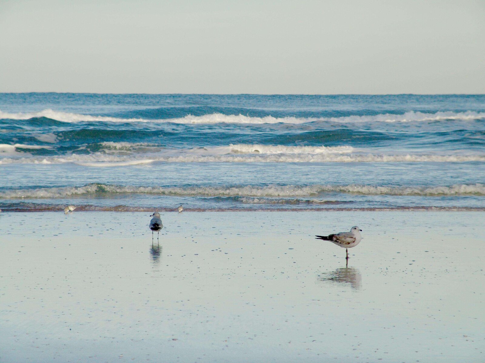 Strand
