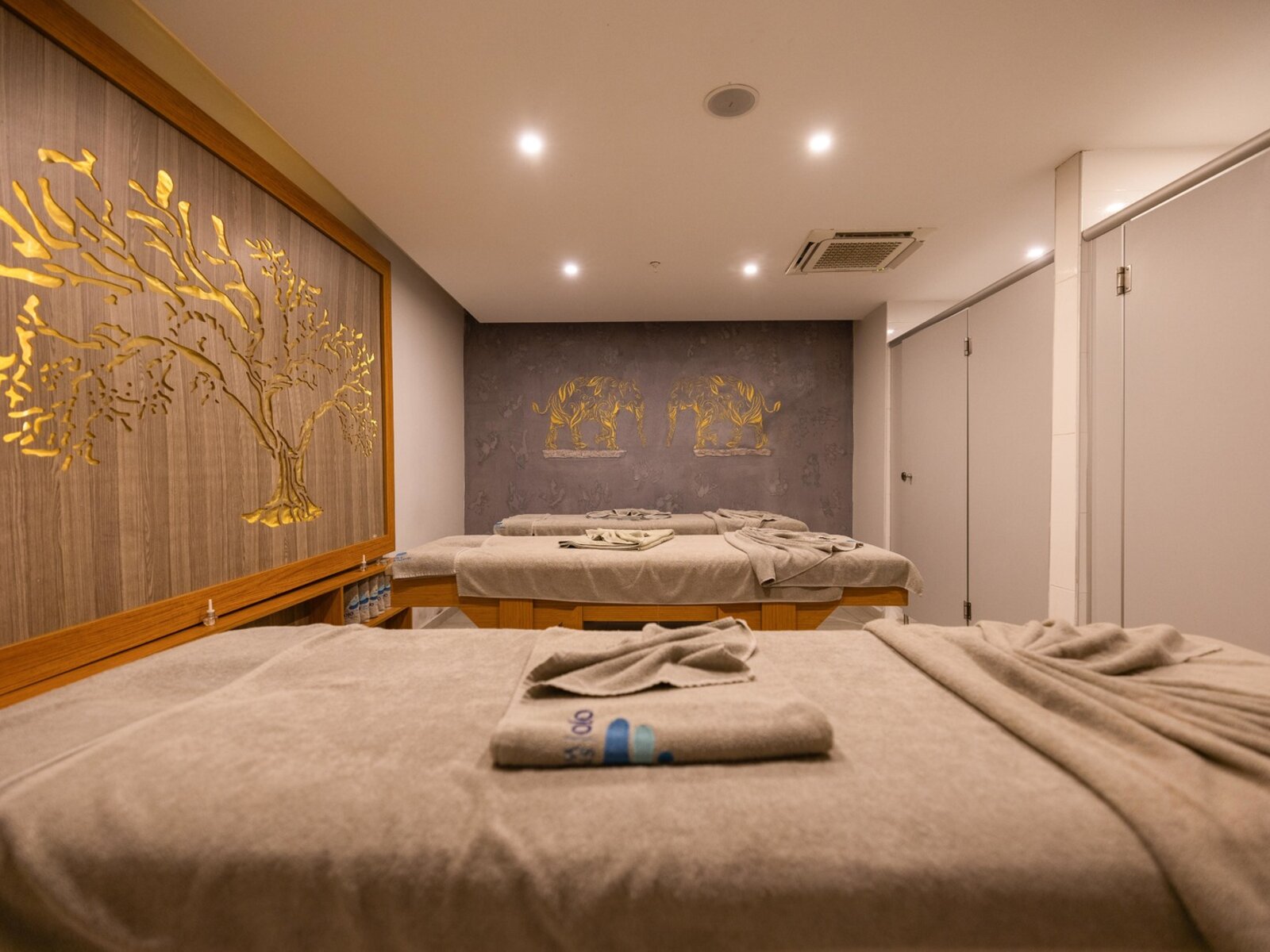 Wellness
