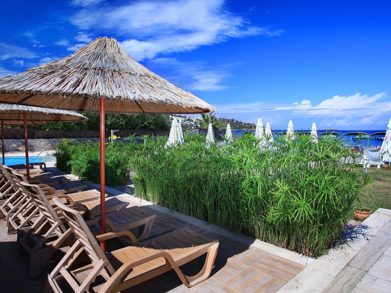 Hotel Cactus Fleur Beach Club in Bodrum/ Yalikavak gnstig buchen bei  TUI.com