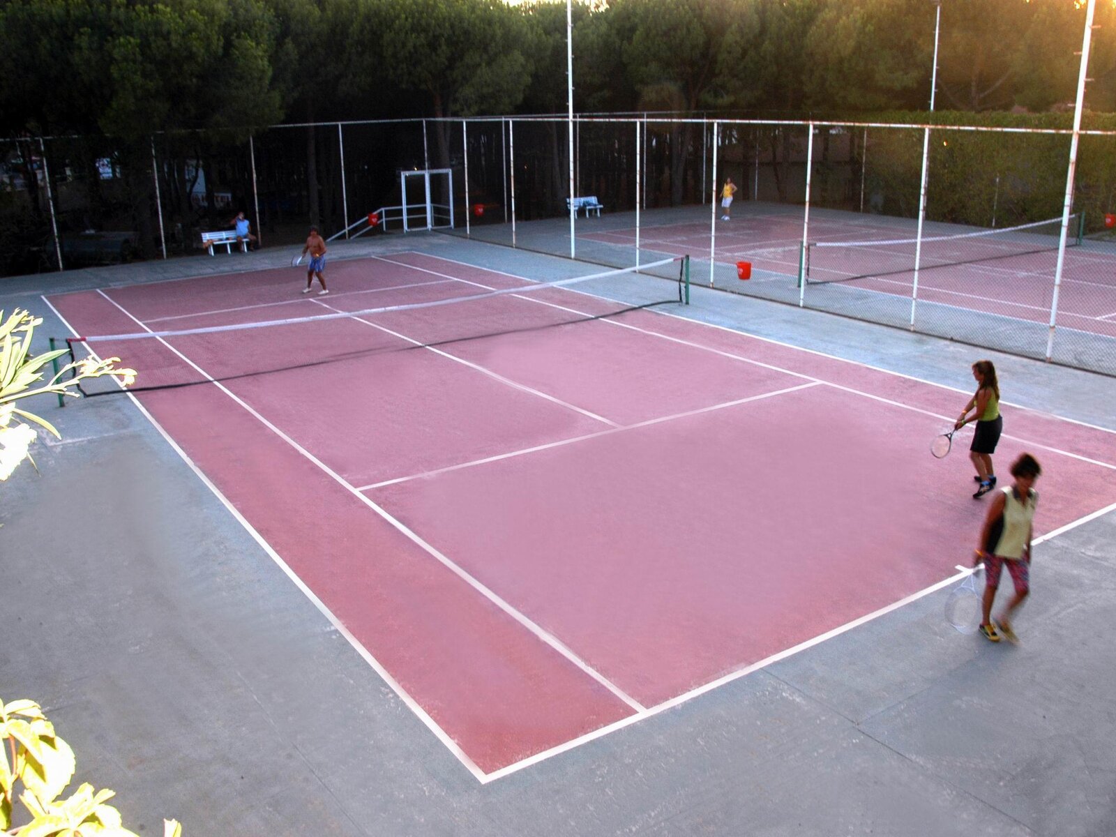 Sport