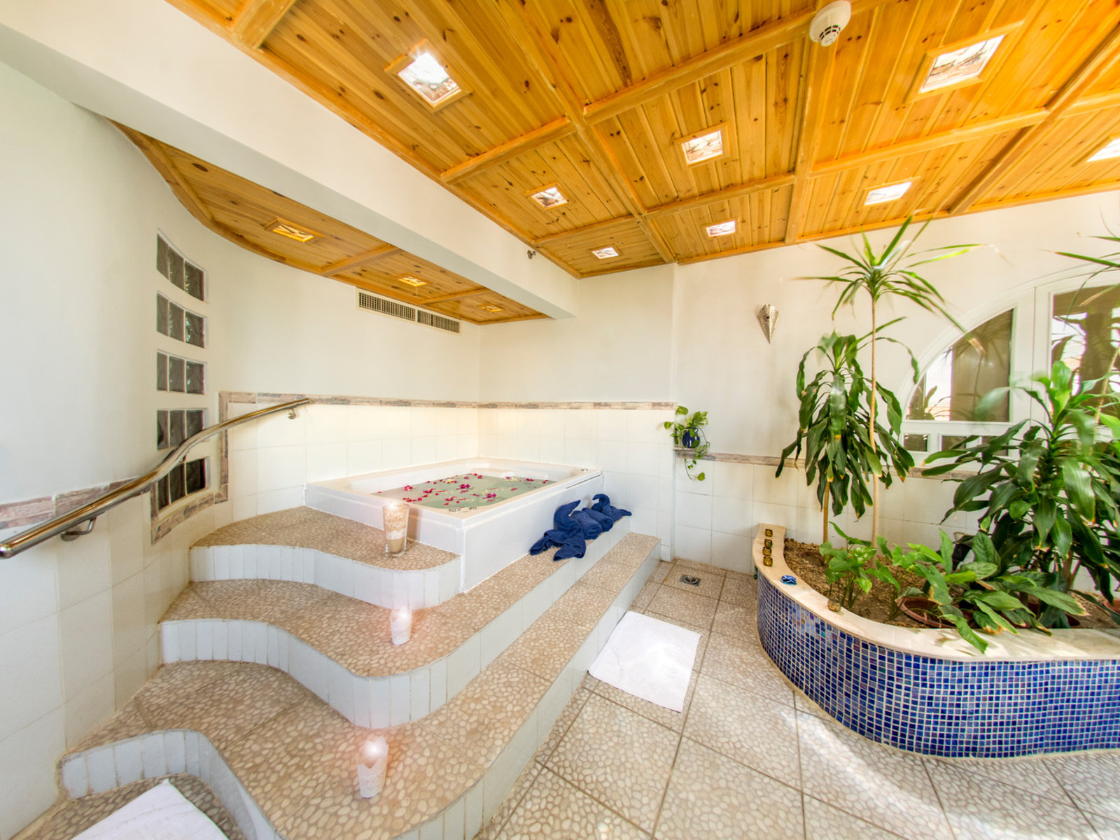 Wellness