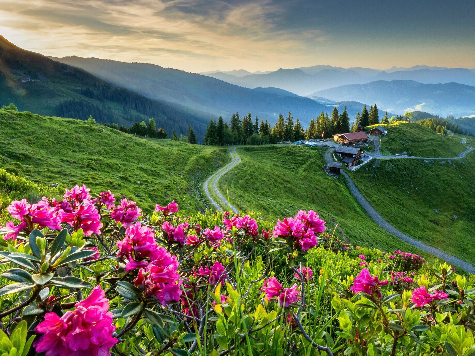 Landschaft