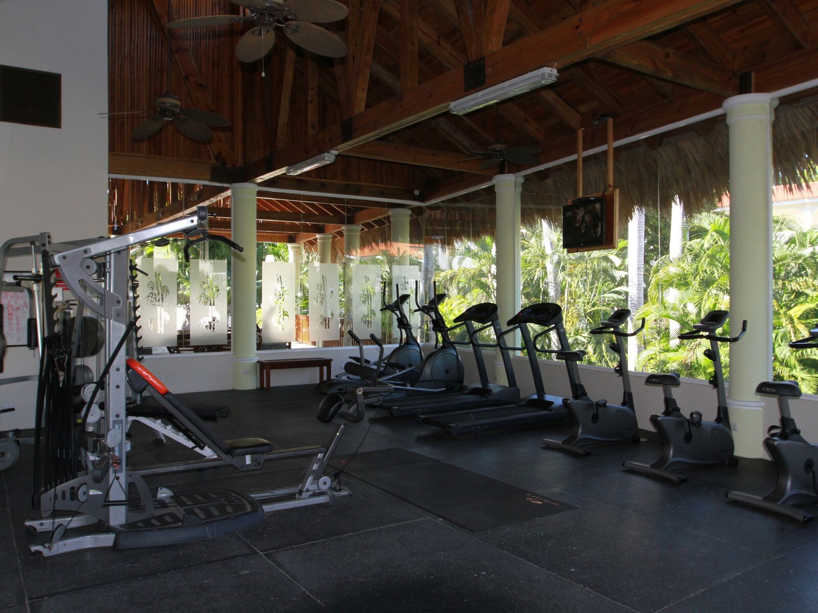 Sport