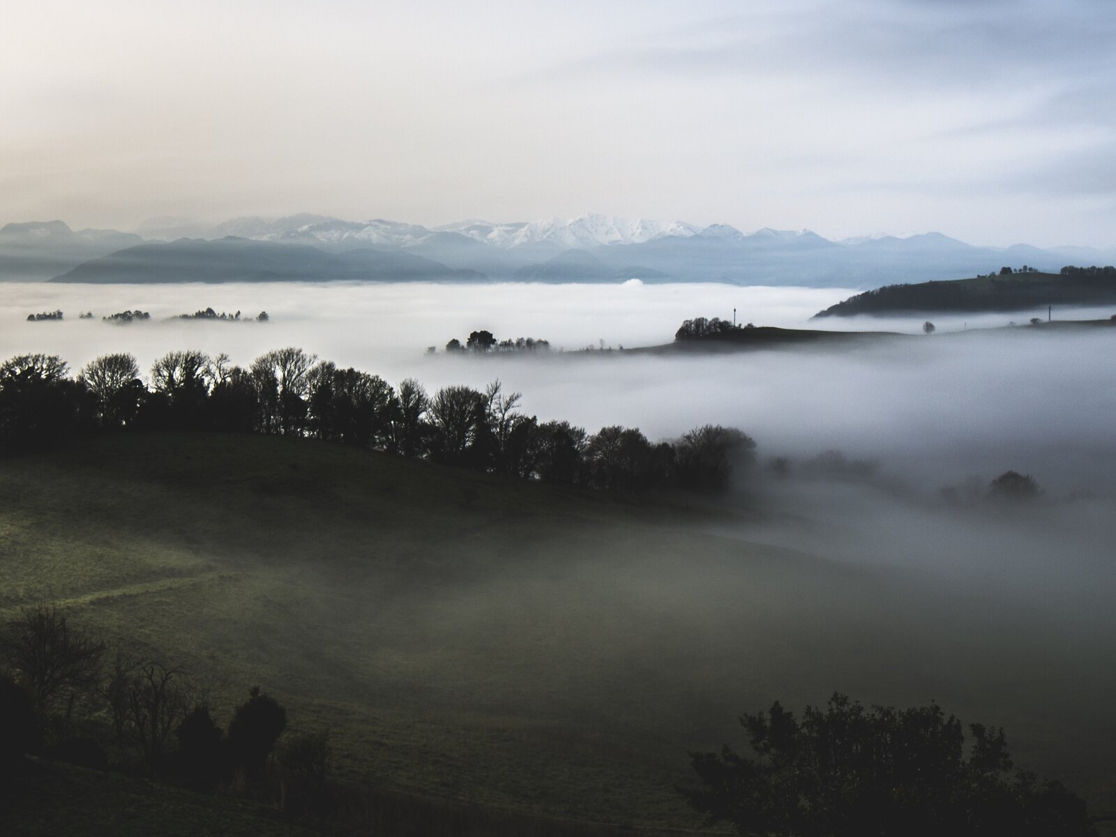 Landschaft