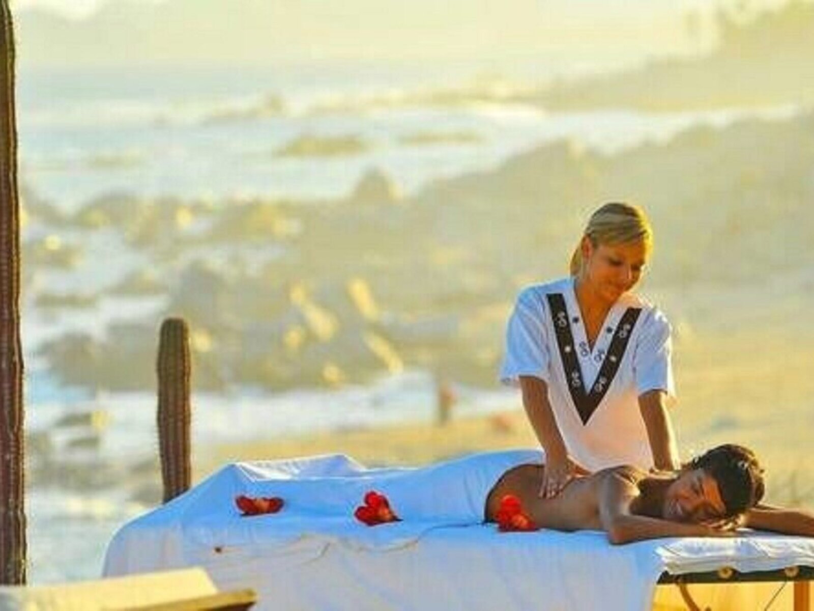 Wellness