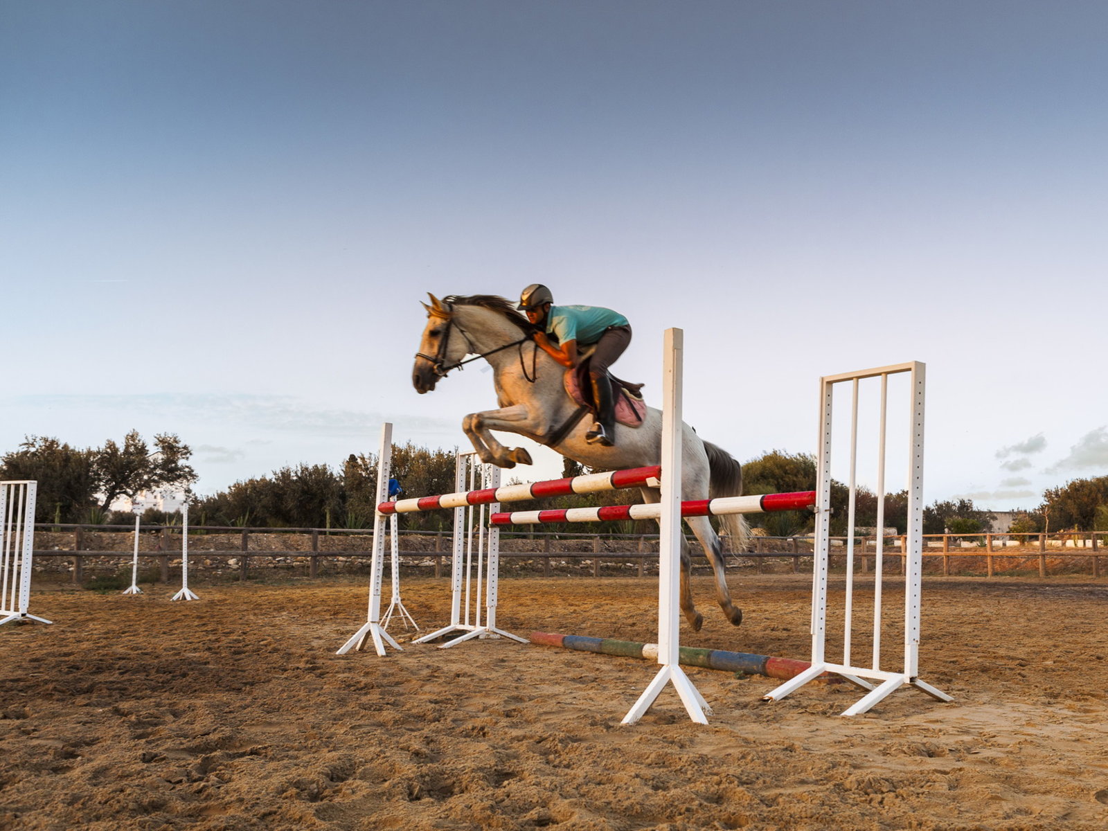 Sport