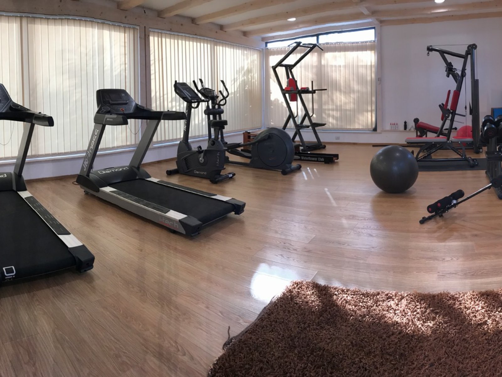 Sport