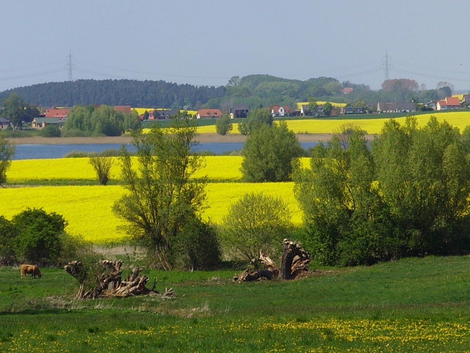 Wohnbeispiel Standard+ DZ Schönes Mecklenburg-Vorpommern