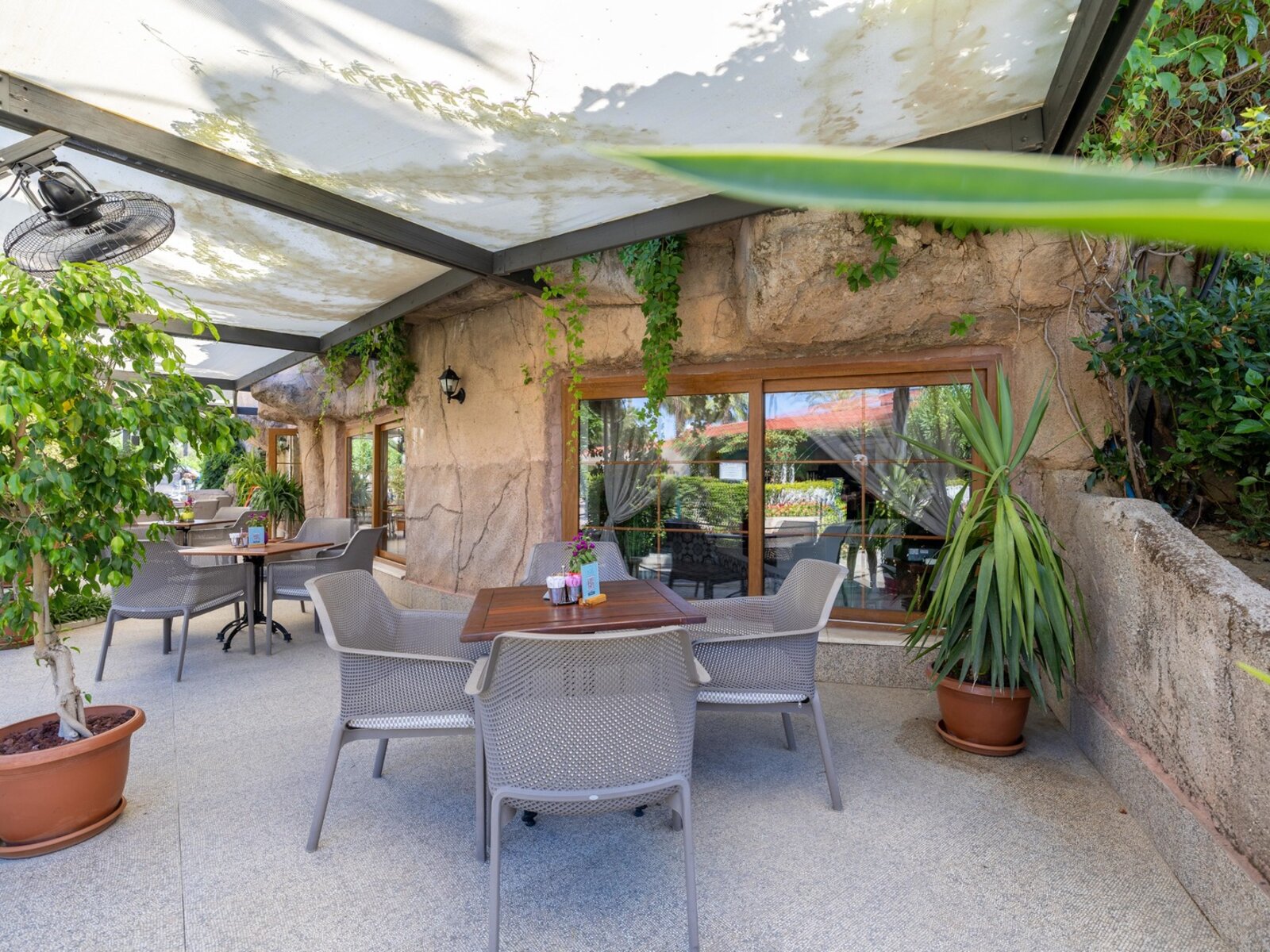 Terrace Cafe