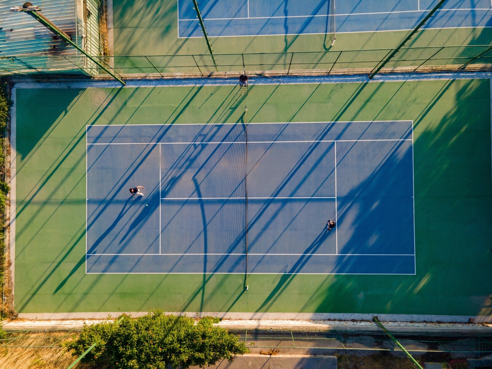 Sport