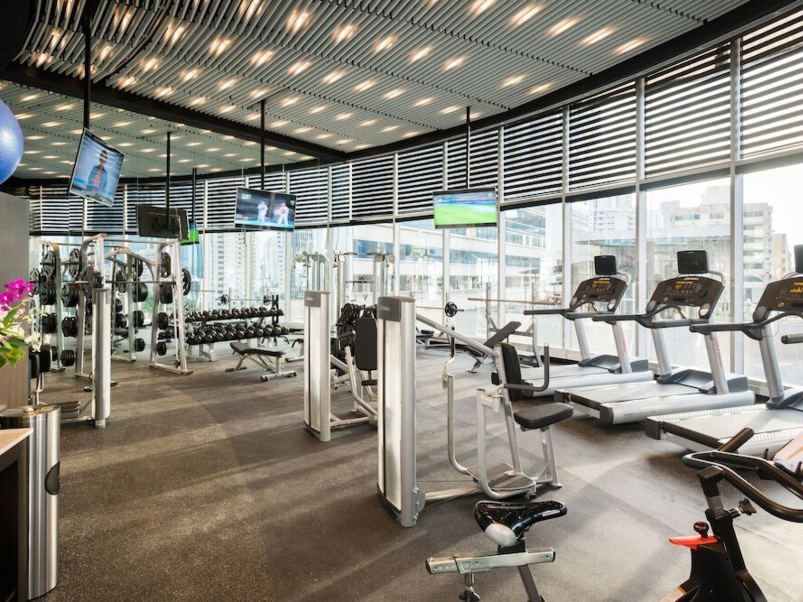 Sport