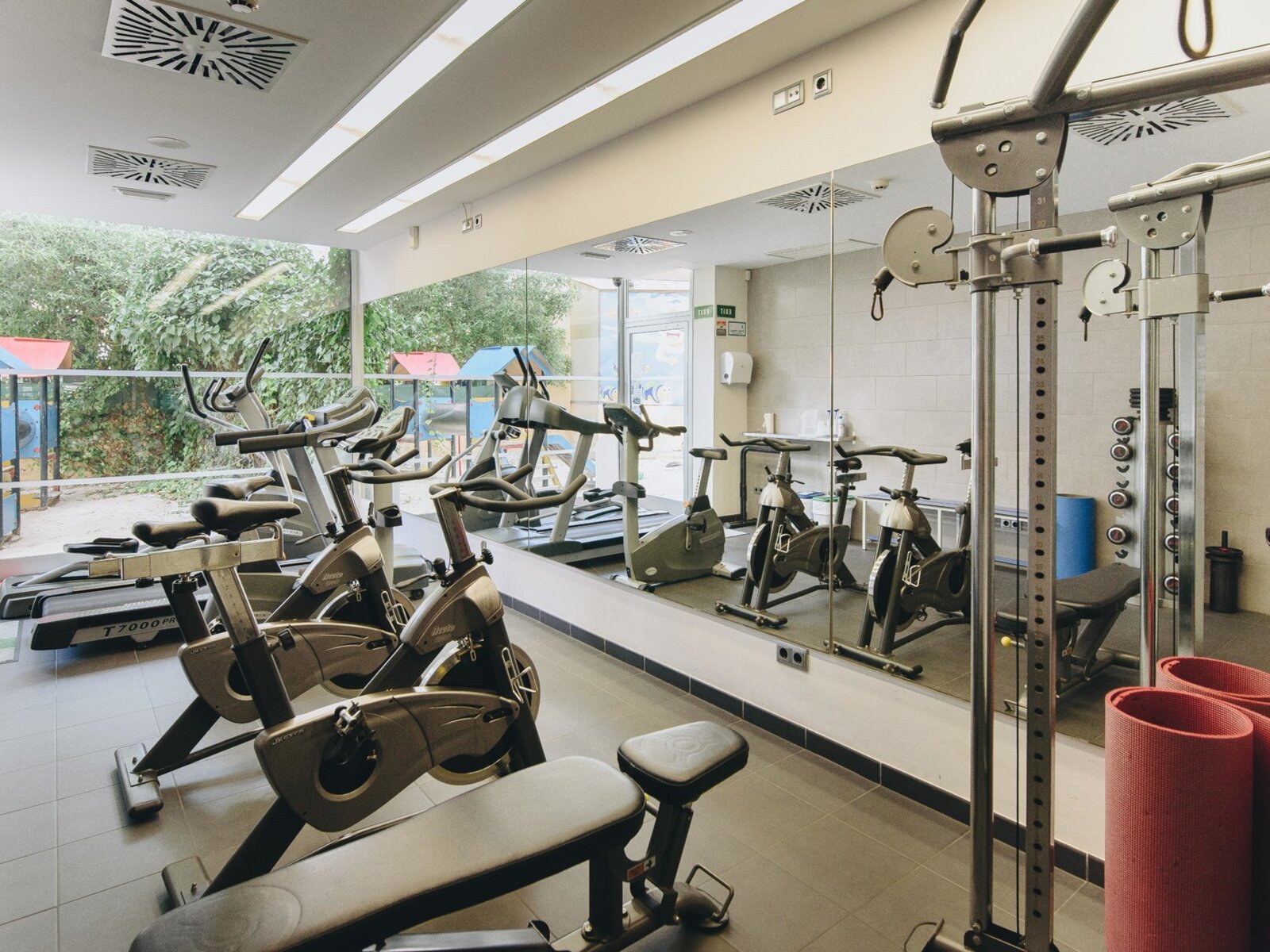 Sport