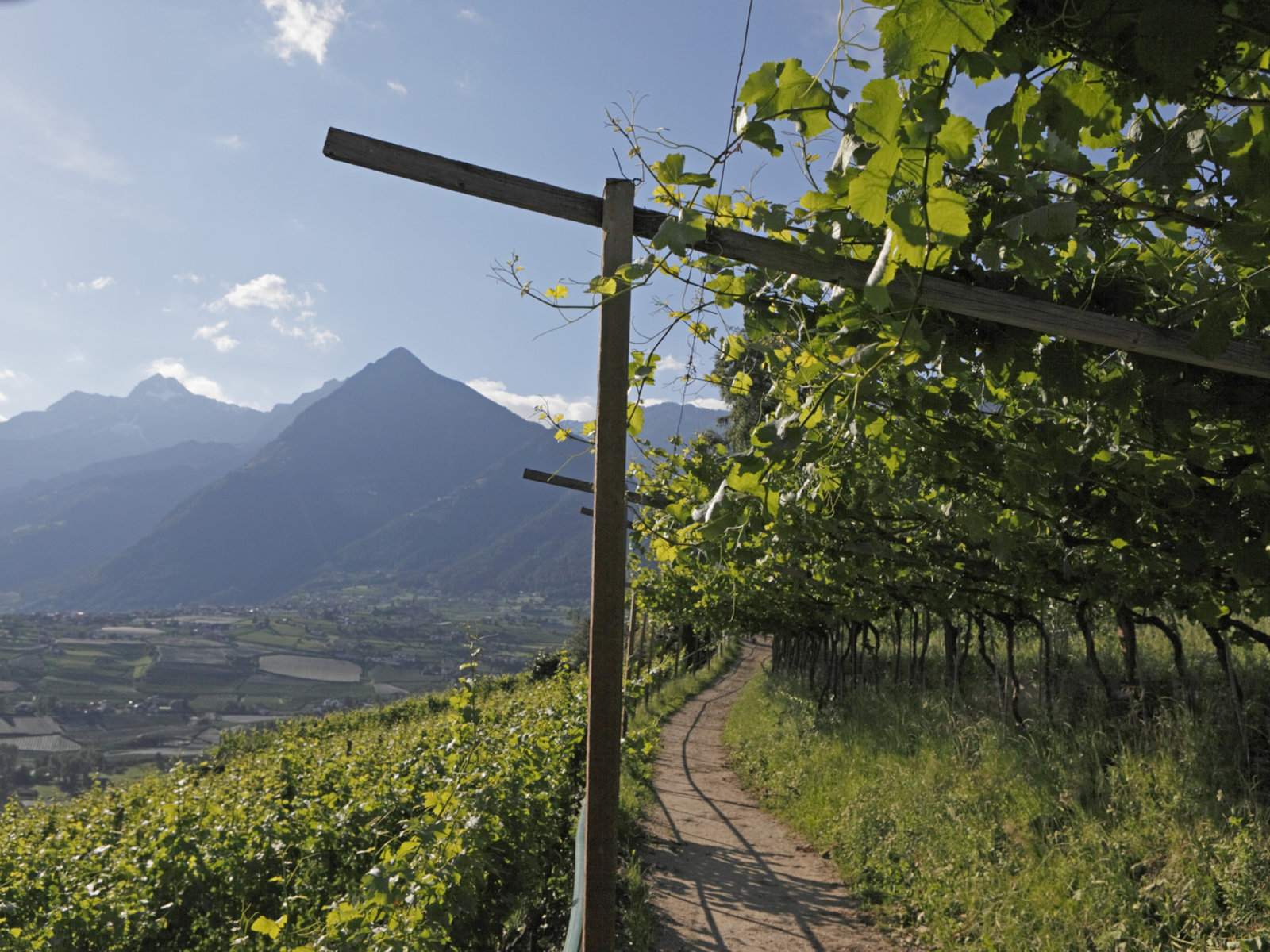 Landschaft