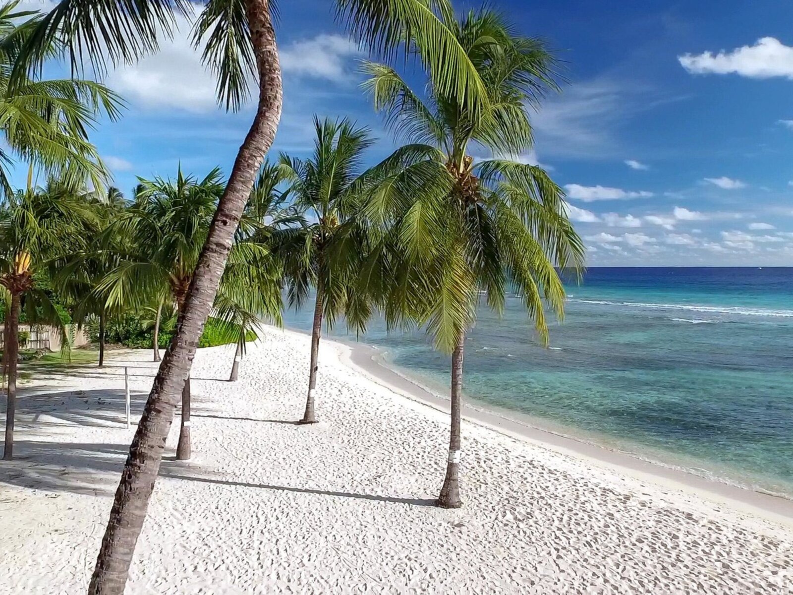 Coconut Court Beach Hotel Beach