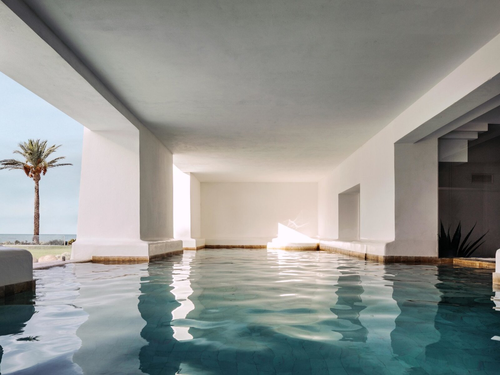 Wellness