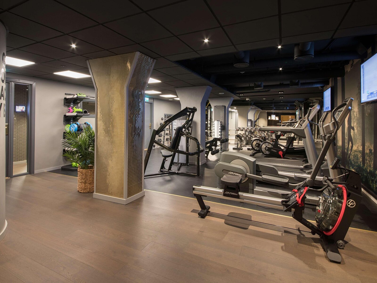 Sport