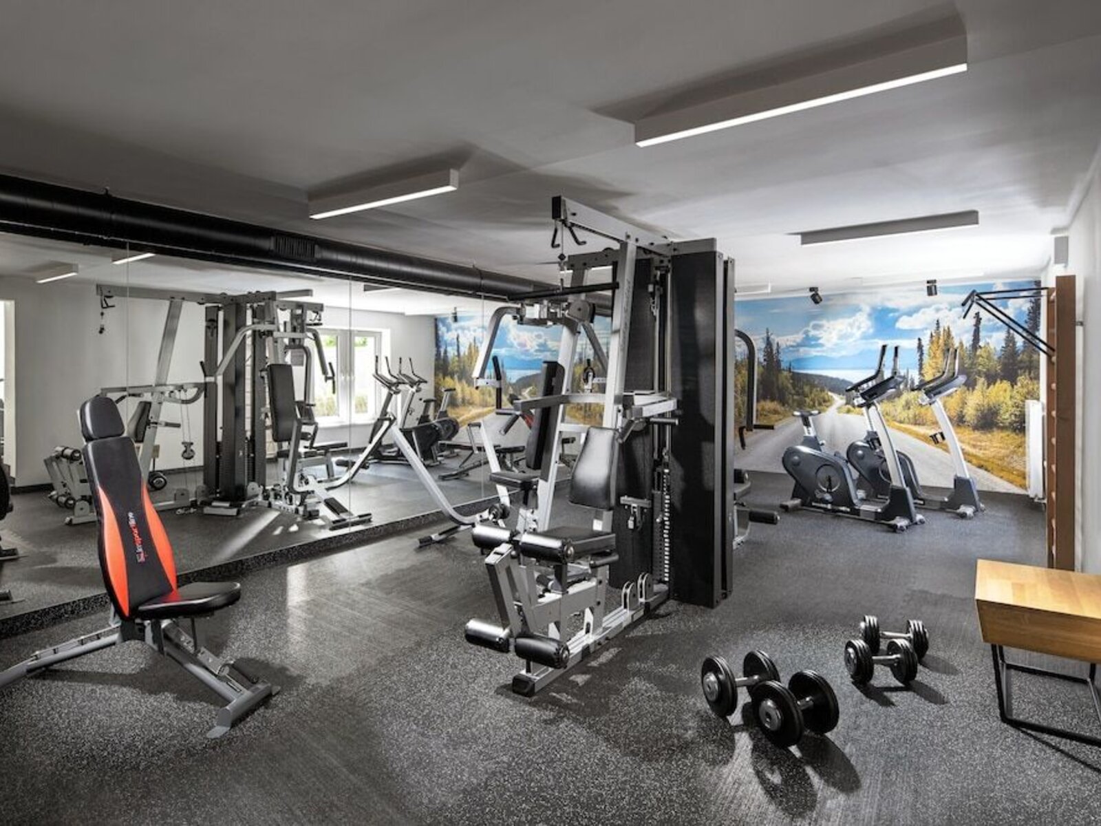 Sport