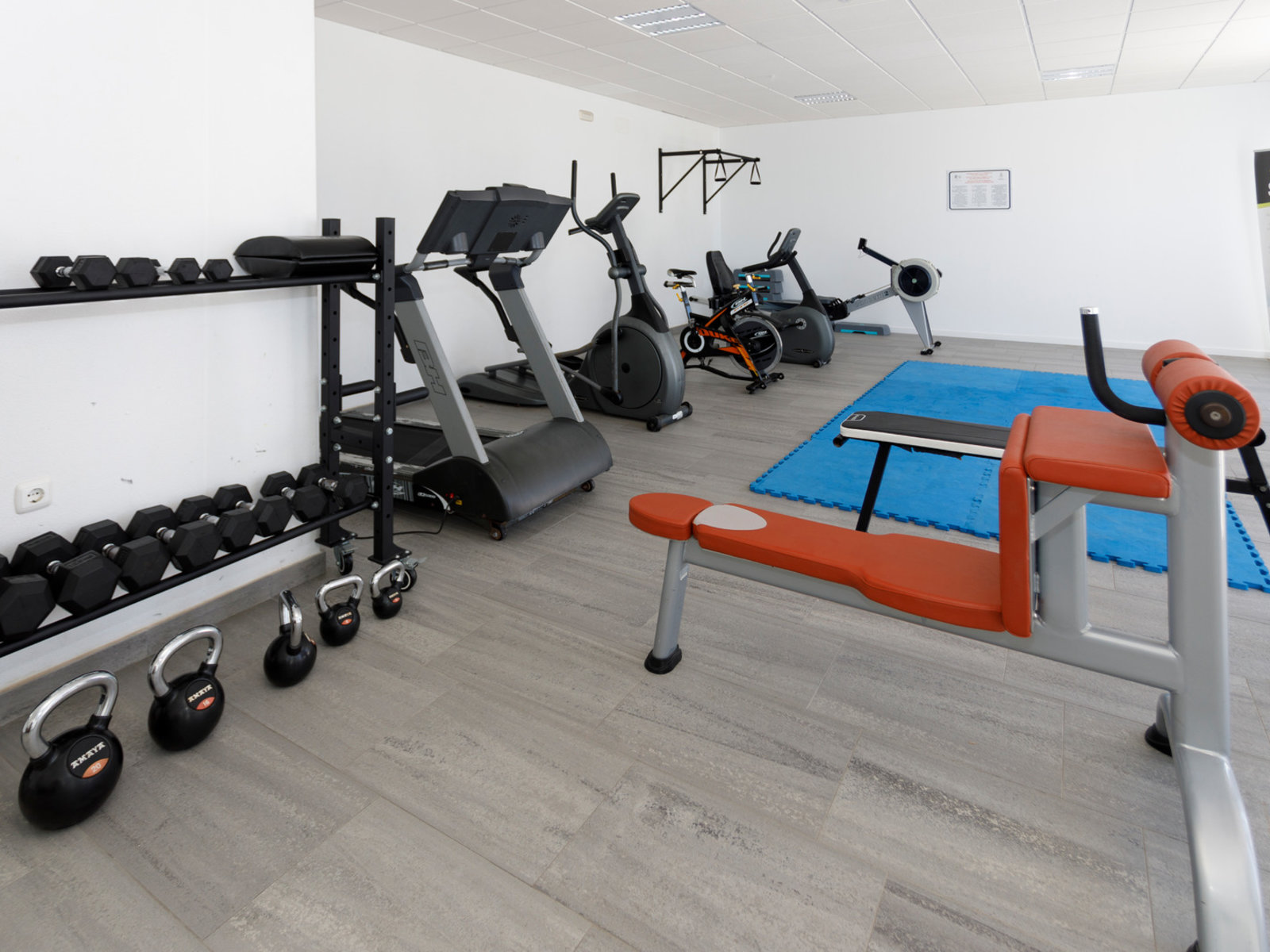 Sport